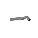 RADYATÖR HORTUMU ALT 91-95 BMW E36 BSG 11531726344