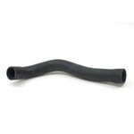 RADYATÖR HORTUMU ALT M52 96-98 BMW E39 BSG 11531740481