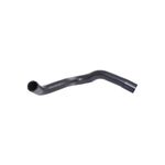 SU HORTUMU 2001-2004 MINI R52-R53 BSG 17127515501