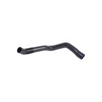 SU HORTUMU 2001-2004 MINI R52-R53 BSG 17127556614