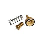 VW GOLF5 TERMOSTAT 05- BEHR-T ​03C121110P