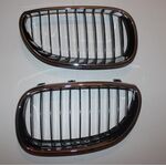 BMW E60 PANJUR SET KROM BTAP 51137065701-702