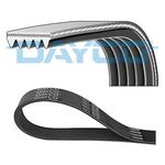 FORD FIESTA V KAYIŞI 02-11 DAYCO 2S6E6C301**