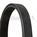 BMW E81 V KAYIŞI 08-11 DAYCO 11288574958