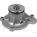 DEVİRDAİM 1.0, 1.3 93-02 NISSAN MICRA AIS WPN-063