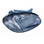 FAR SAĞ 99-02 HYUNDAI SONATA DEPO 9210238000