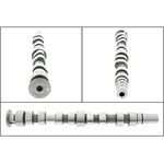 VW GOLF4 EKSANTRİK MİLİ EMME / 1,4 16V 02-10 BSG 036109101AC