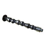 VW POLO EKSANTRİK MİLİ EGSOZ 10- BSG 03P109022
