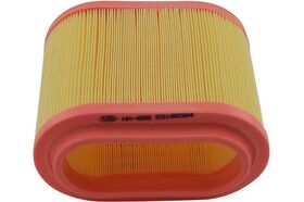 HAVA FİLTRESİ 01- HYUNDAI H1 BSG 281134A001